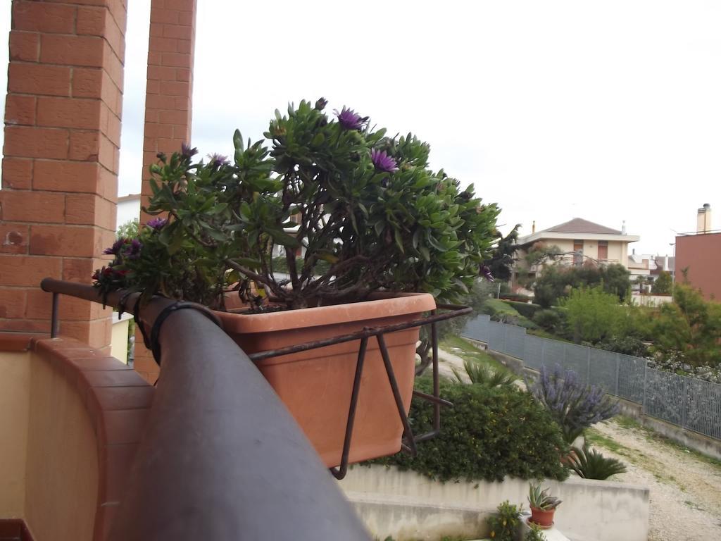 Bed and Breakfast La Specchia Matera Exterior foto
